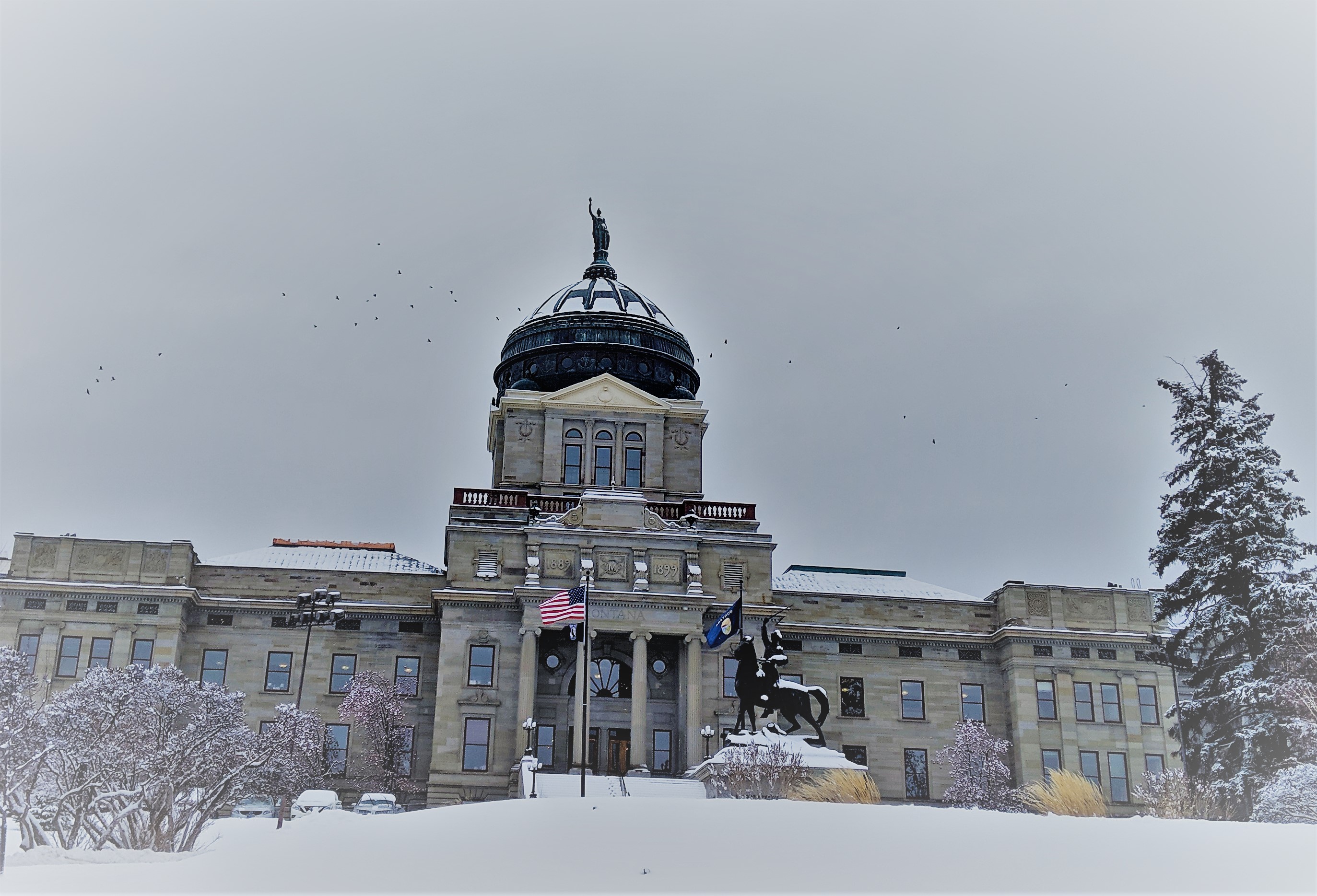 Capitol Winter Photo